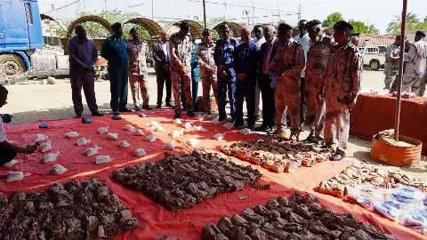 قوات الجمارك السودانية تستعرض مضبوطات عملية مكافحة التهريب في أحد المراسي البحرية جنوب ولاية البحر الأحمر، والتي شملت 177 ألف حبة كبتاجون ومخدر القات ومواد مرتبطة بالتفجير، وأسفرت عن توقيف ستة متهمين.
