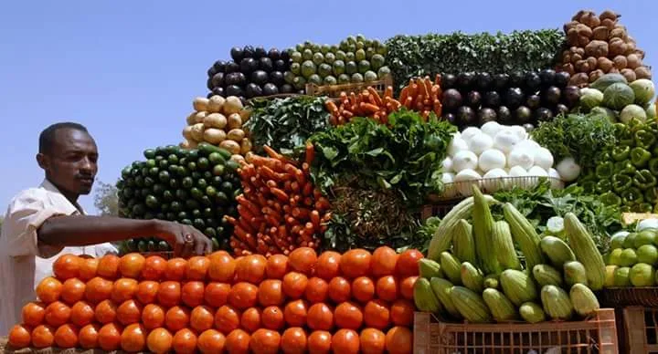 أسواق الخضر والفاكهة في السودان مع مقارنة أسعار المنتجات المصرية والمحلية في وادي حلفا، وسط توقعات بتأثير زيادة المعروض عبر معبر أشكيت على أسعار الخضروات.