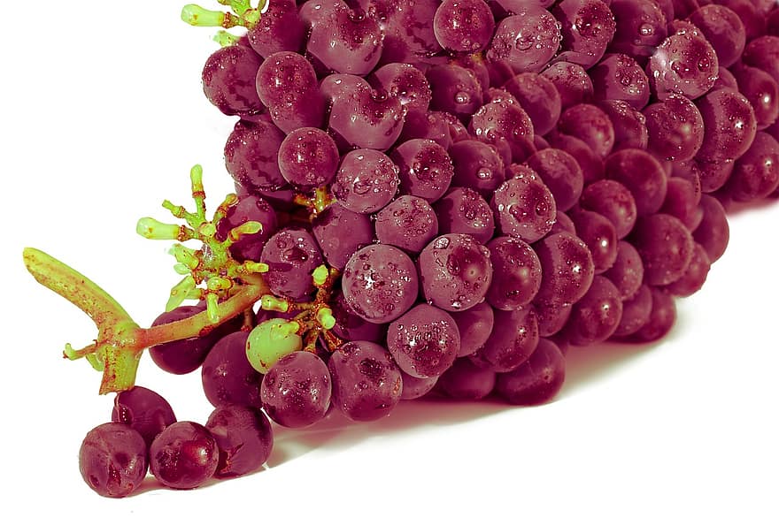 grape red grape fruit clusters food picture