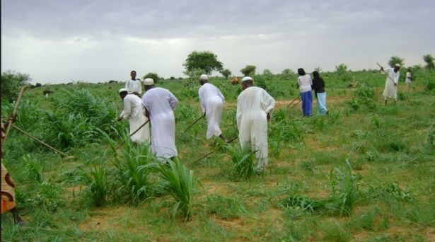 النفير