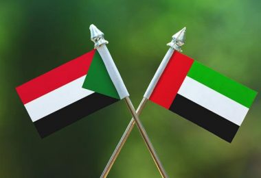 الامارات ترحب بقرار مجلس الأمن بخصوص السودان