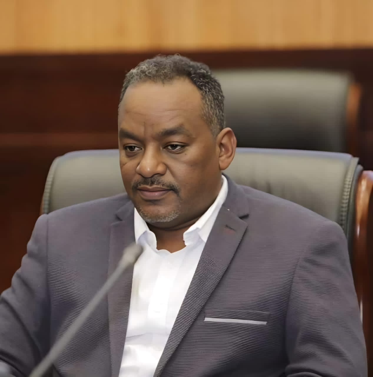 مدير الشركة السودانية للمعادن يكشف المثير عن الذهب 1 أيمن حامد الشركة السودانية للموارد المعدنية
