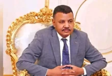 يوسف عزت