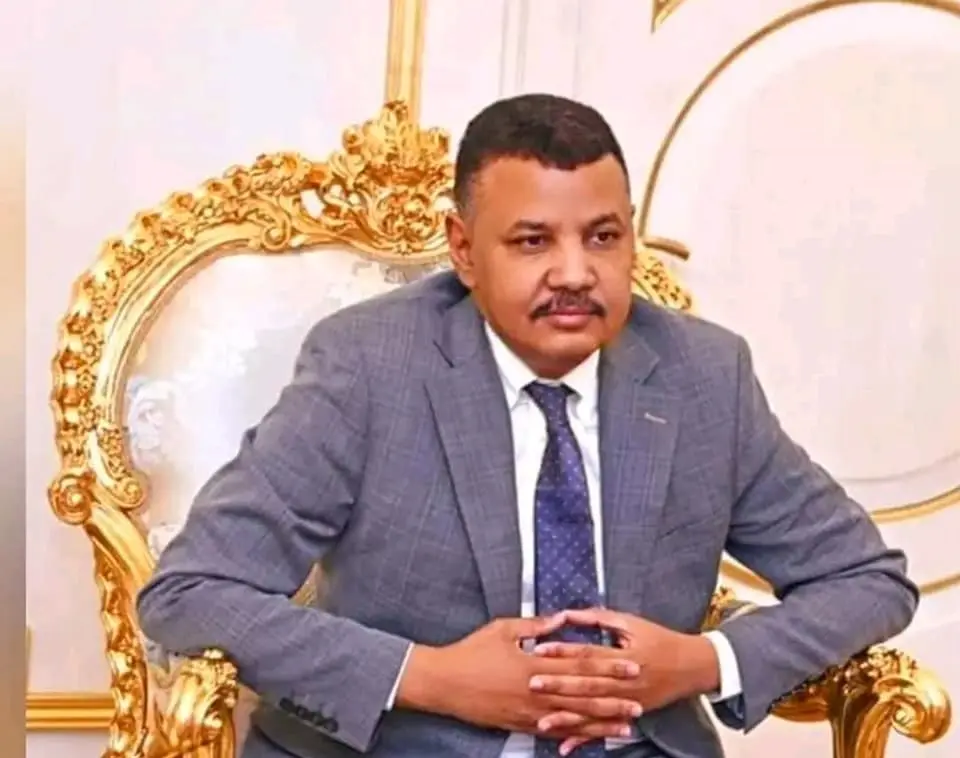يوسف عزت