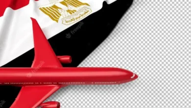 شركات الطيران فى مصر