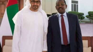 طه الحسين ومحمد بن زايد