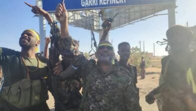 تحرير مصفاة الجيلي