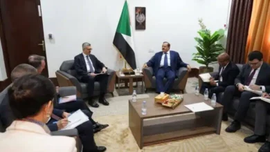وزير الخارجية السوداني ونائب الخارجية التركي برهان