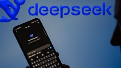 ديب سيك DeepSeek
