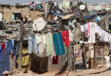 باى باي العشش والصفيح في هذه الولاية