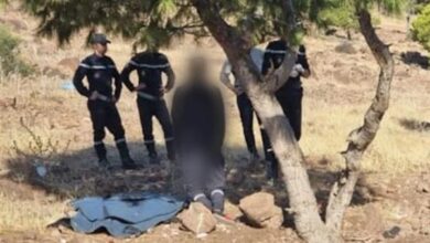 وفيات غامضة تهز المغرب.. جثث معلقة على الأشجار تثير الذعر