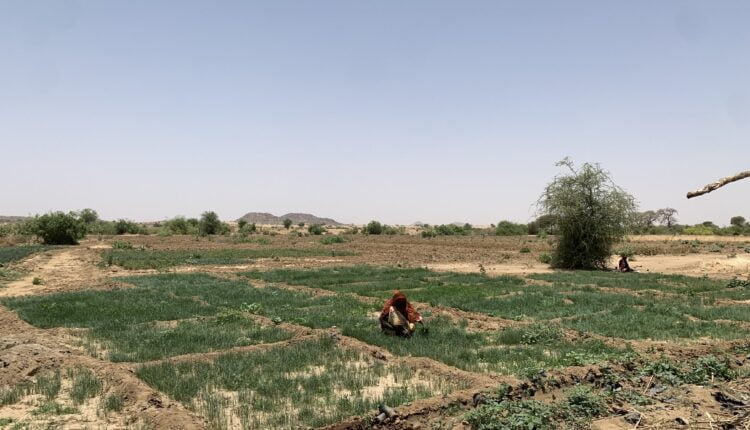 اختفاء وفد فرنسي في السودان... 1 دارفور لاجئين 750x430 1