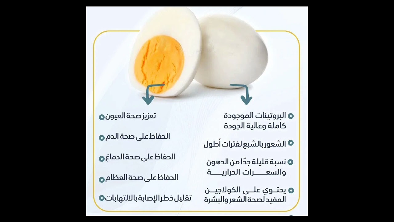 ماذا يحدث لجسمك إذا تناولت البيض كل يوم.. كم بيضة يحتاج الجسم في اليوم؟ 2 ماذا يحدث لجسمك إذا تناولت البيض كل يوم.. كم بيضة يحتاج الجسم في اليوم؟